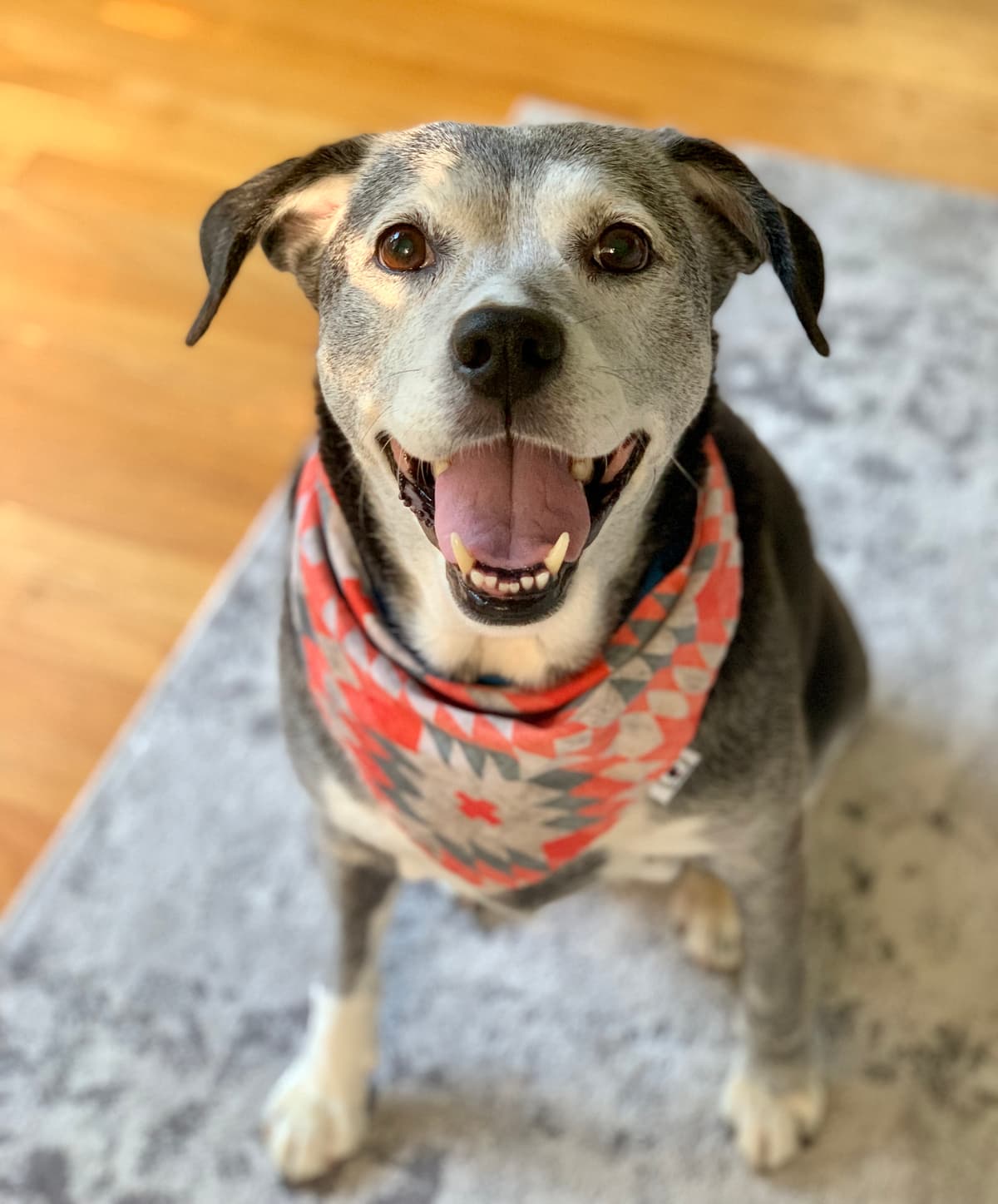 Emma, photo 3