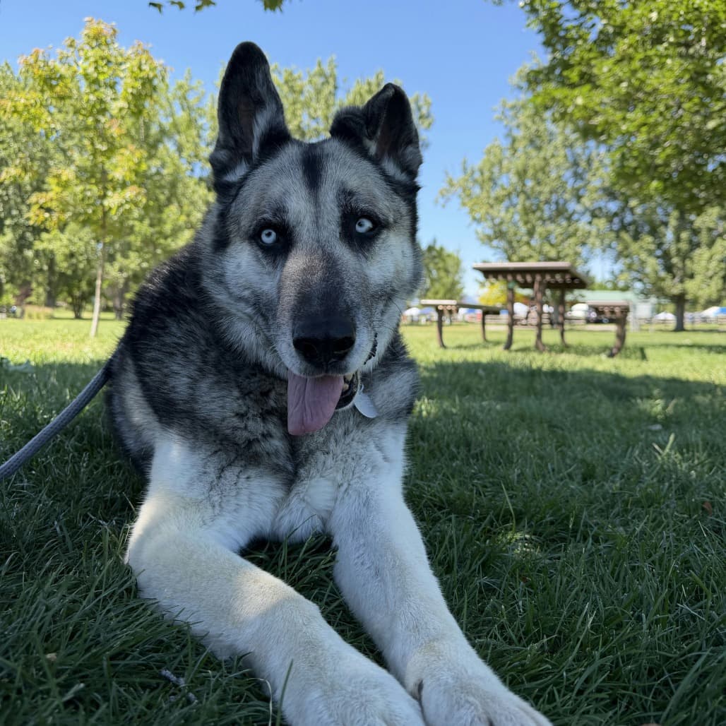 Todd, photo 14