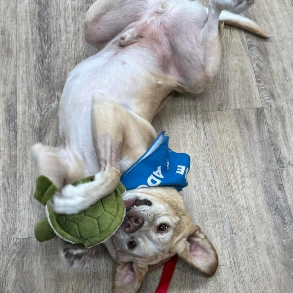 Bernie, photo 4