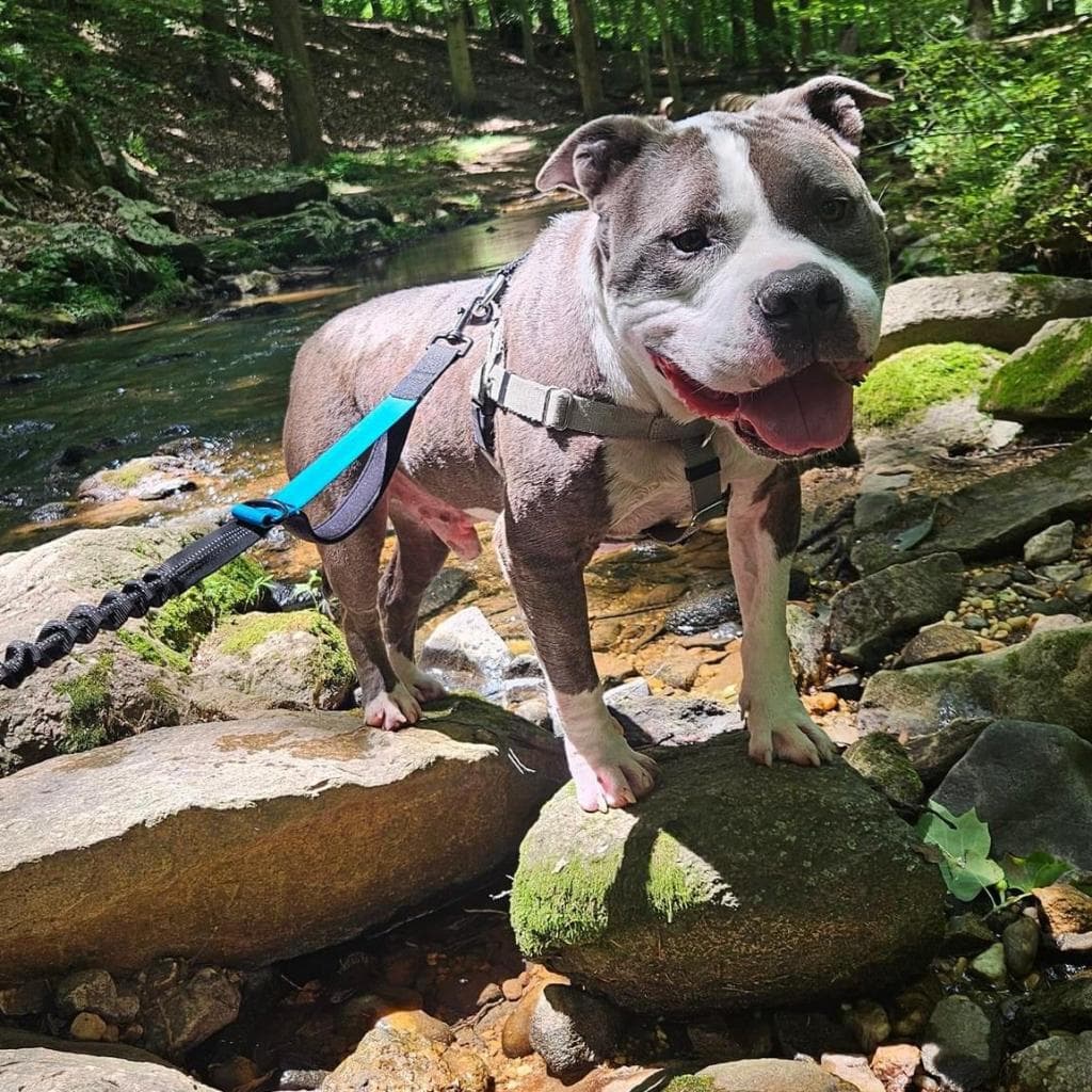 Zeus, photo 4