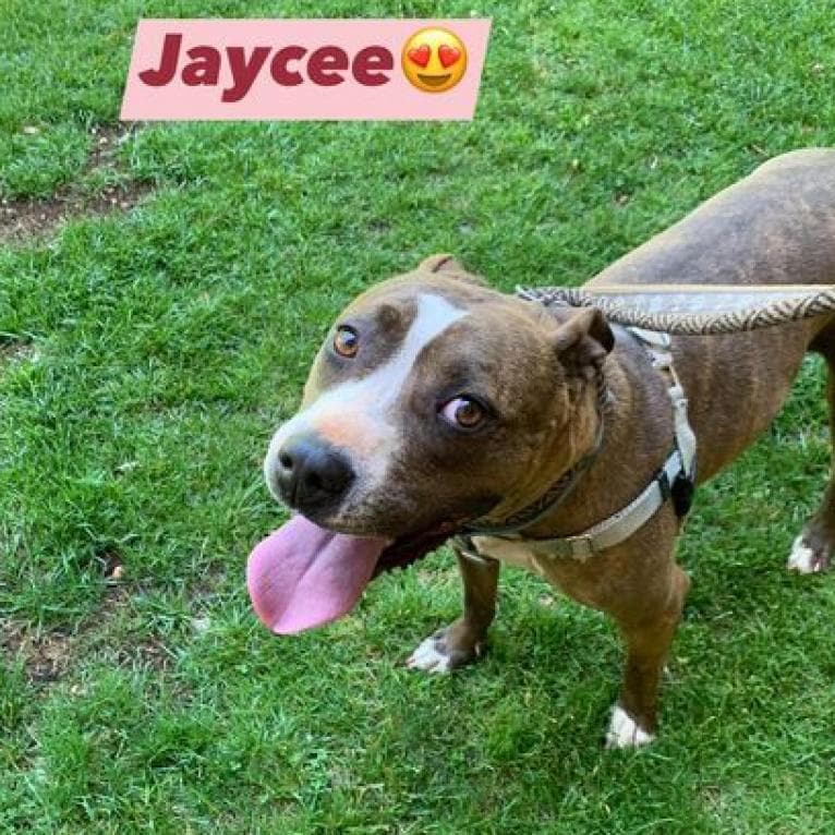 Jaycee, photo 2