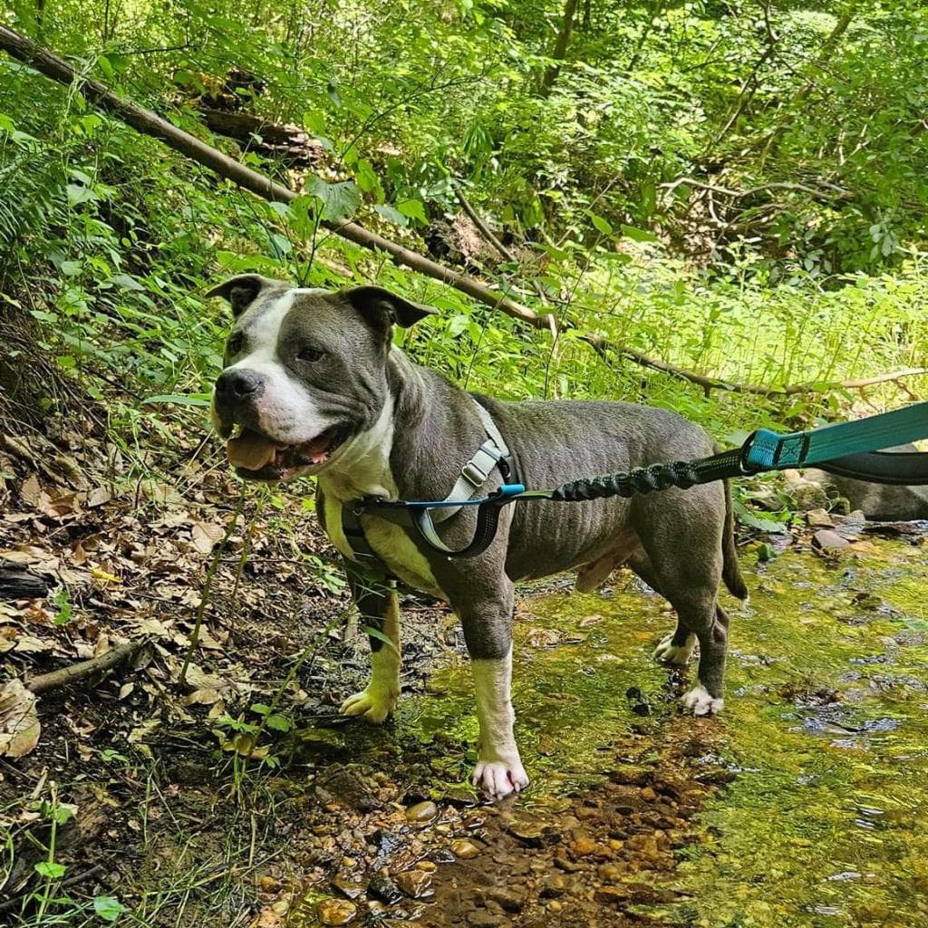 Zeus, photo 3