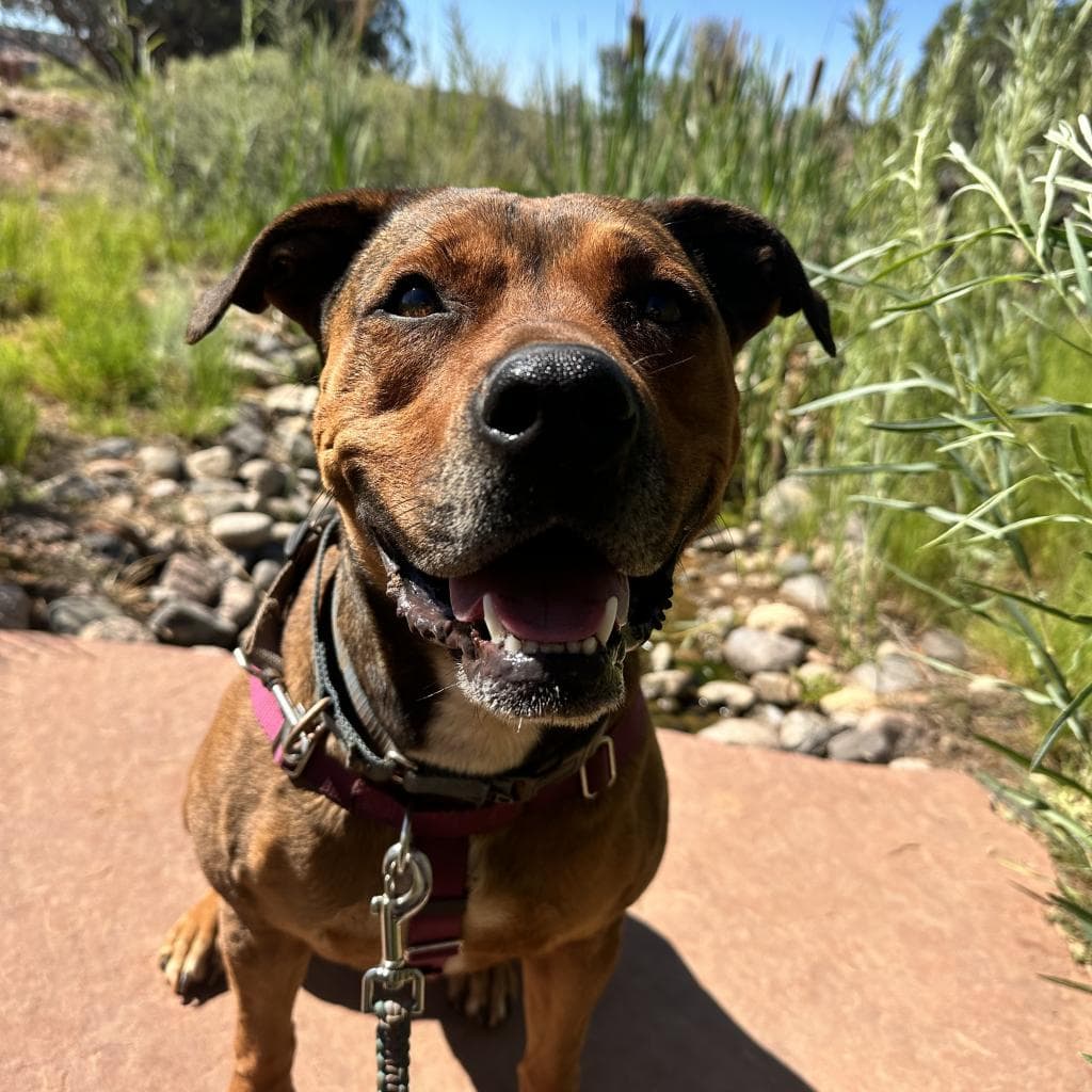 Ember, photo 8