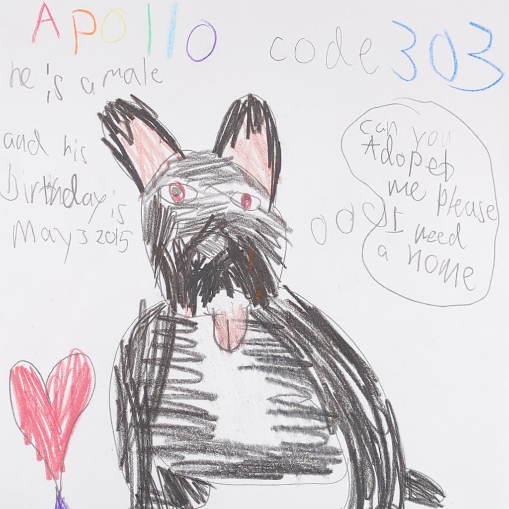 Apollo, photo 2