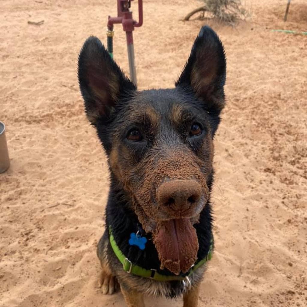 Pharaoh, photo 20