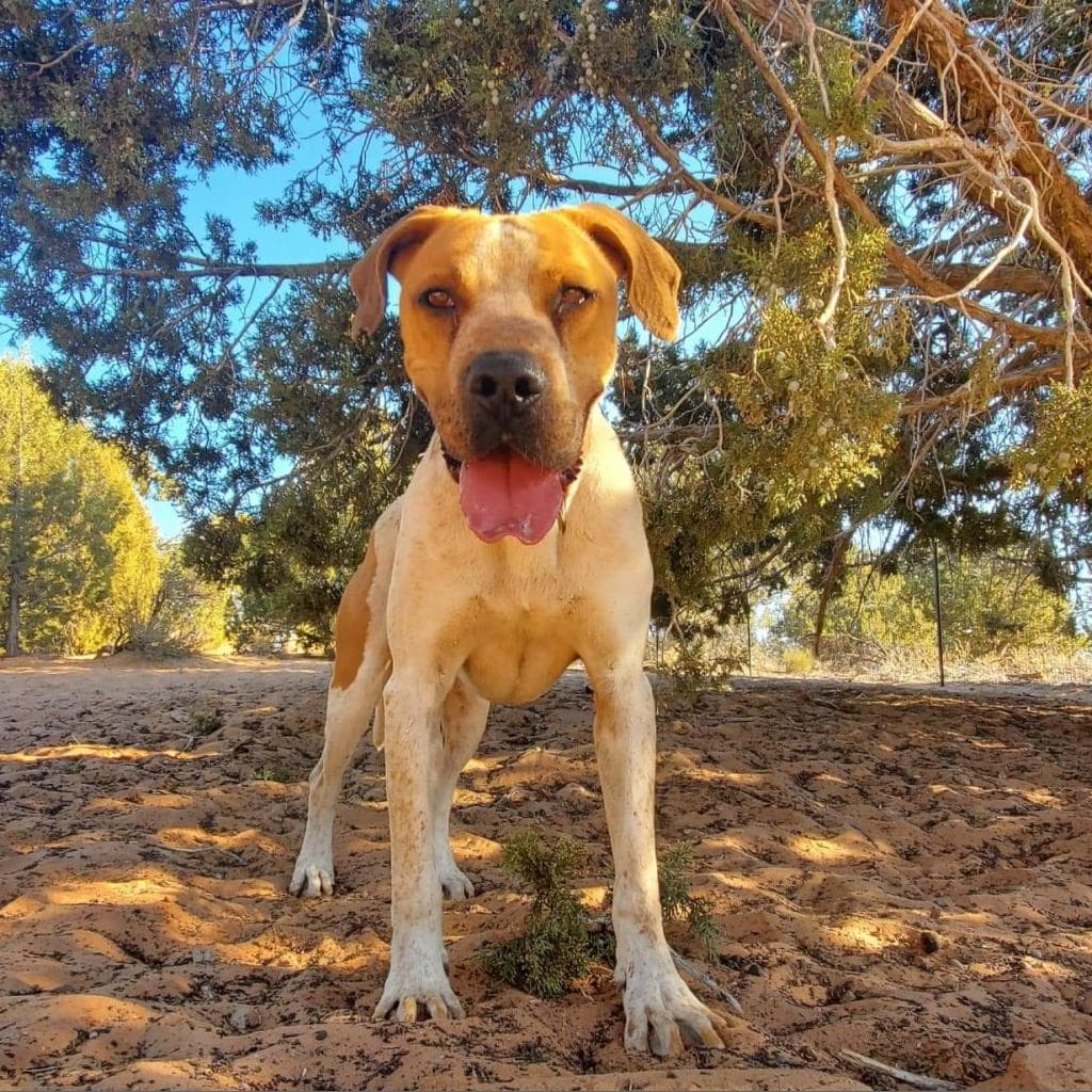 Titus, photo 9