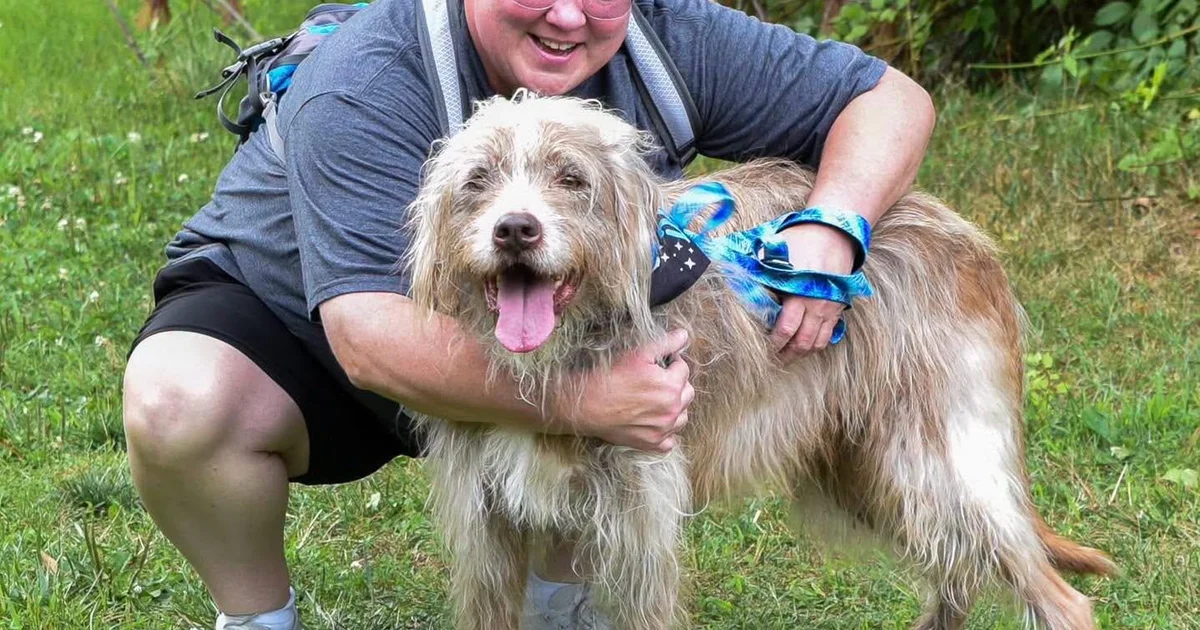 Dog who called Maryland shelter home for 7 years finally adopted: "There wasn't a dry eye in the house"