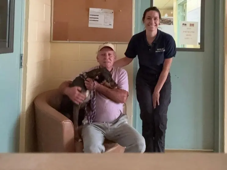 After 2 Years, Beloved Berlin Shelter Dog Gets New Leash On Life