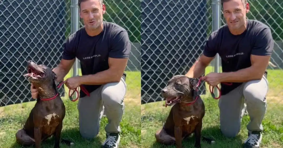Shelter Dog Has Odds Stacked Against Her, but Waits for Someone to Look Past Them