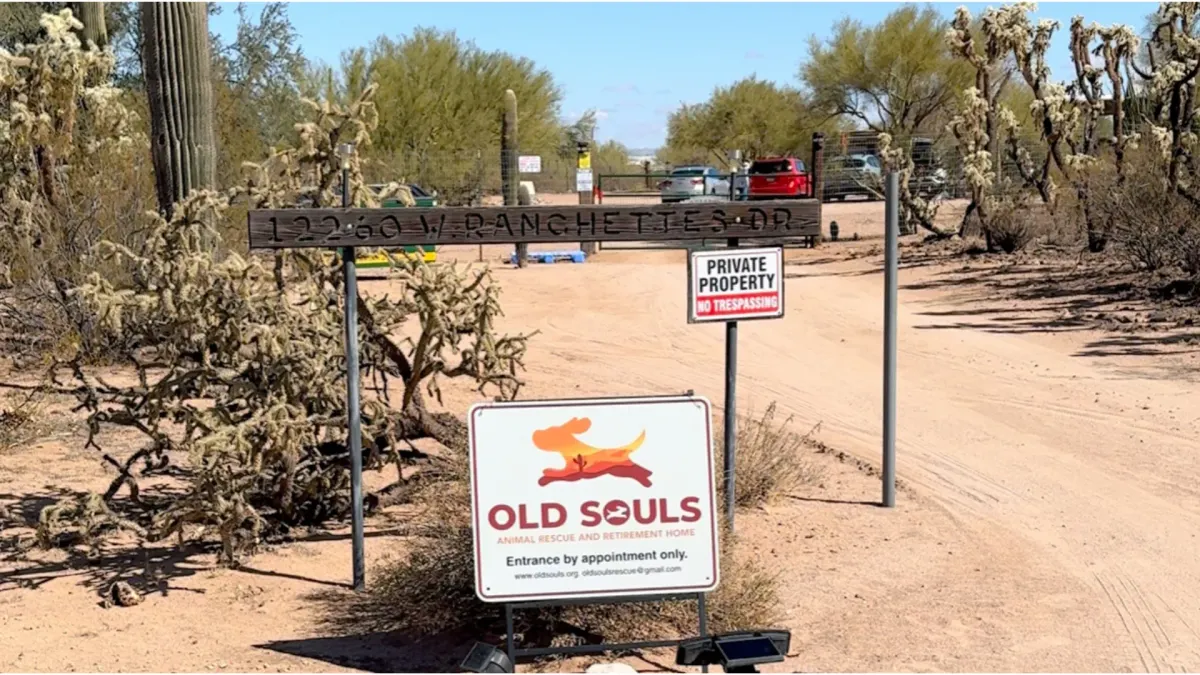 Tucson animal rescue faces foreclosure amid funding gap