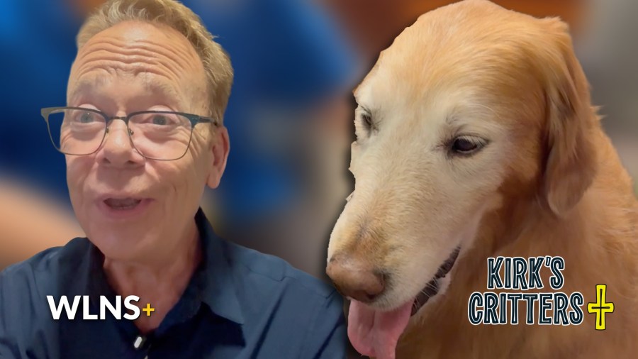 At Hospice House of Mid-Michigan, a 14-year-old therapy dog makes her rounds