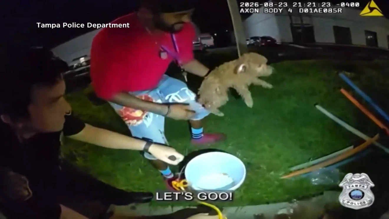 Florida officers rescue dog trapped in drain using bucket, cheese