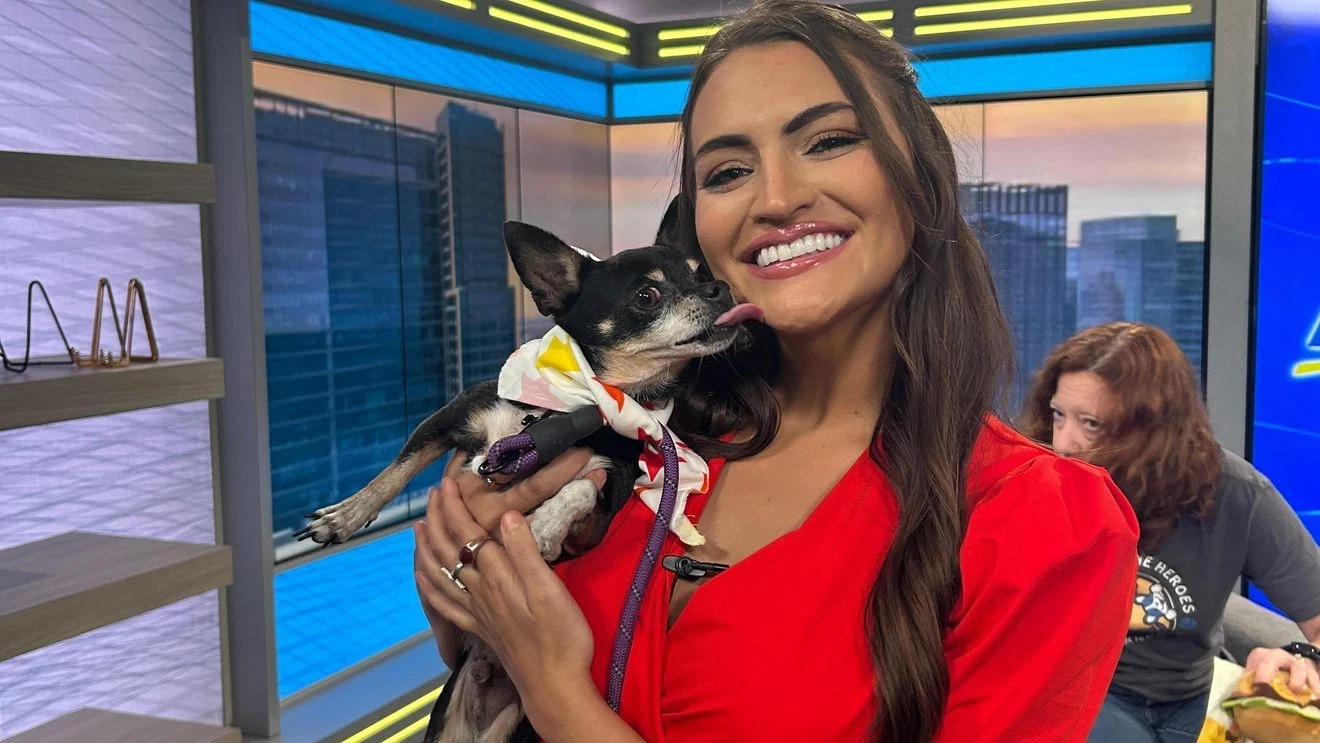 Wednesday Friendsday: Texas Humane Heroes' King Julien is ready for his forever family!