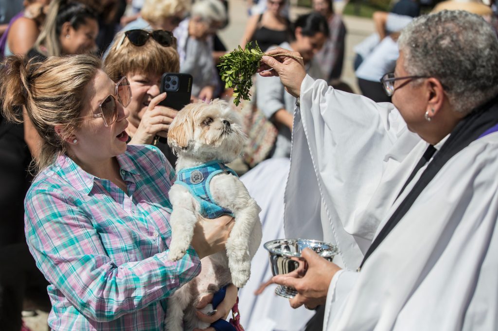 Washington National Cathedral to Celebrate All God’s Creatures at Annual Blessing of the Animals