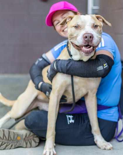 Photo of Hewbie, adoptable senior dog in Chamblee, Georgia