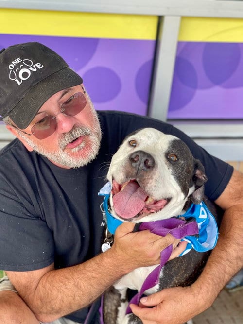 Photo of Paw Paw Walter, adoptable senior Hound in Mount Laurel, New Jersey