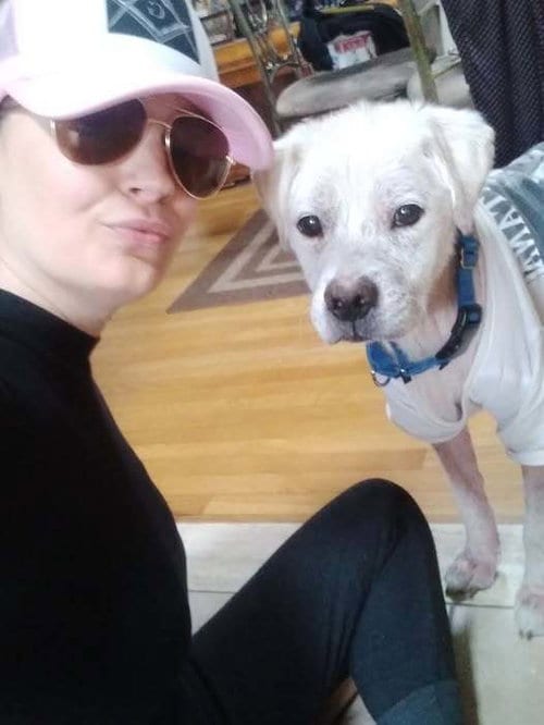 Photo of Rye (SC), adoptable senior Terrier in New York, New York