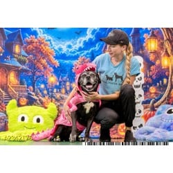 Photo of Shirley, adoptable senior Mixed Breed (Medium) in West Palm Beach, Florida