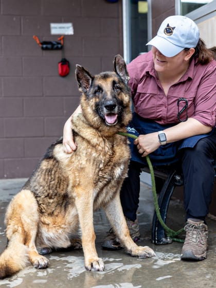 Photo of Gramps, adoptable senior dog in Chamblee, Georgia