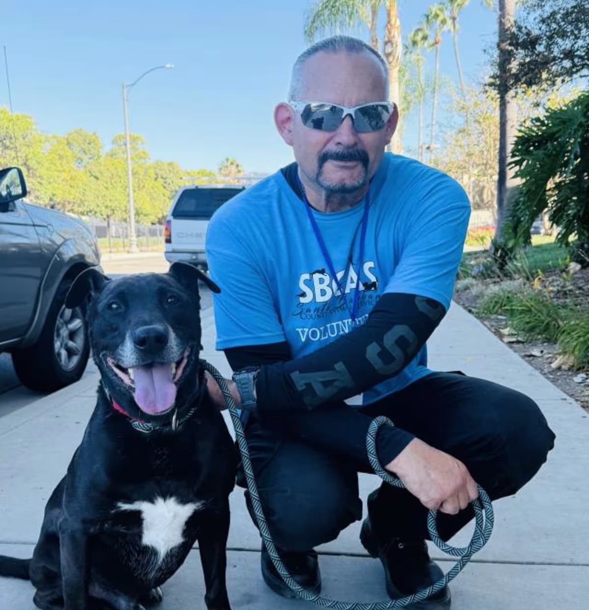 Photo of Shadow, adoptable senior Labrador Retriever in Santa Maria, California
